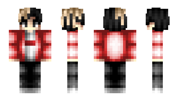 Minecraft skin Tigz