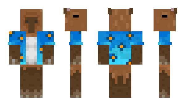Minecraft skin PluraI