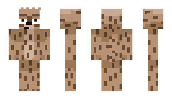 Minecraft skin PaidHak