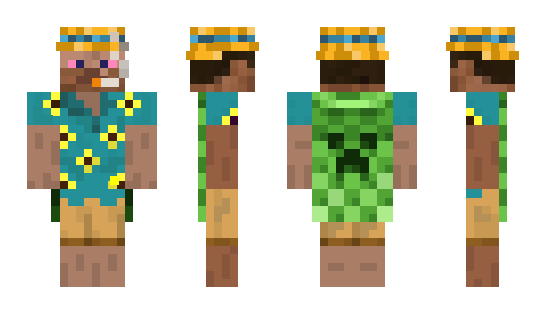 Minecraft skin noli_