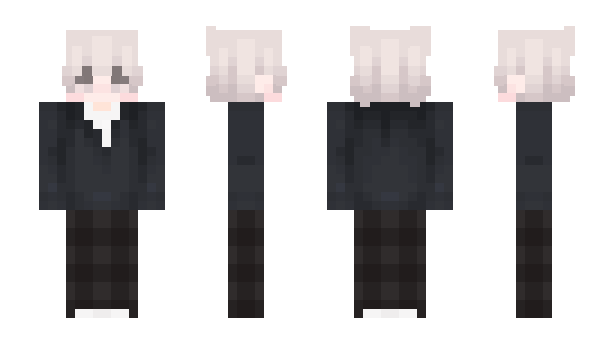 Minecraft skin puchar