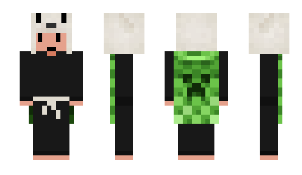 Minecraft skin derni