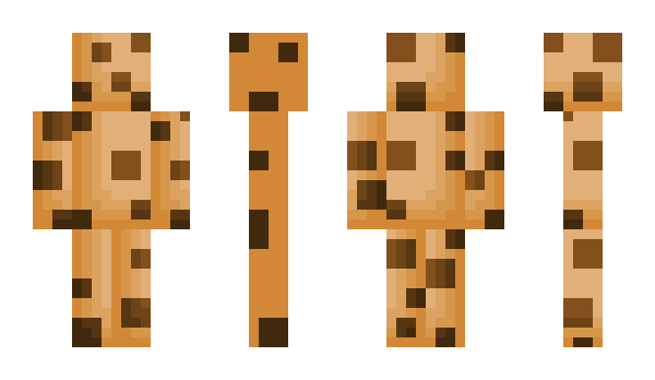 Minecraft skin cookie66