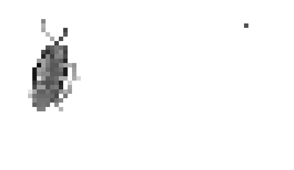 Minecraft skin Evilpig34lol