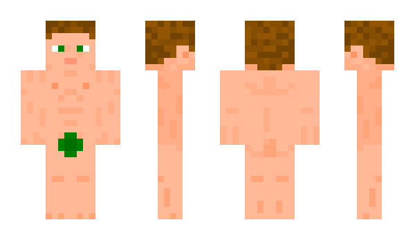 Minecraft skin Rowmanow