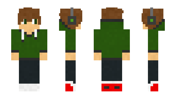 Minecraft skin Polaroidz