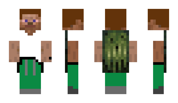 Minecraft скин по нику Sweeping_guy