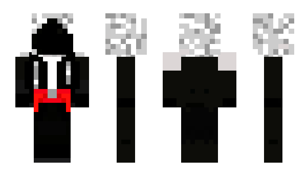 Minecraft skin 370