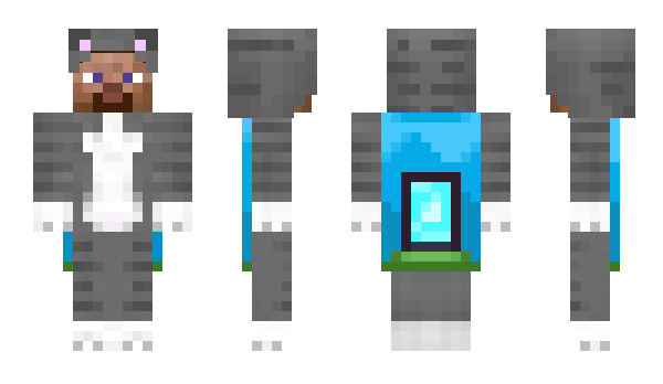 Minecraft скин по нику Tankas