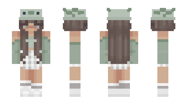 Minecraft skin 4563