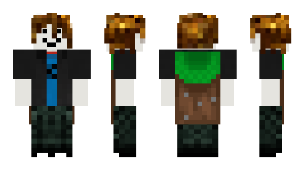 Minecraft skin papitaspro20