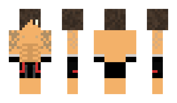 Minecraft skin Metaux