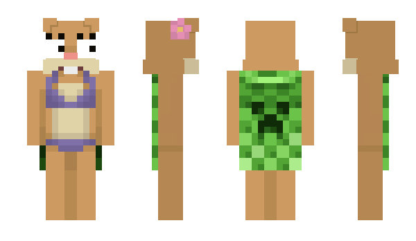 Minecraft skin caits