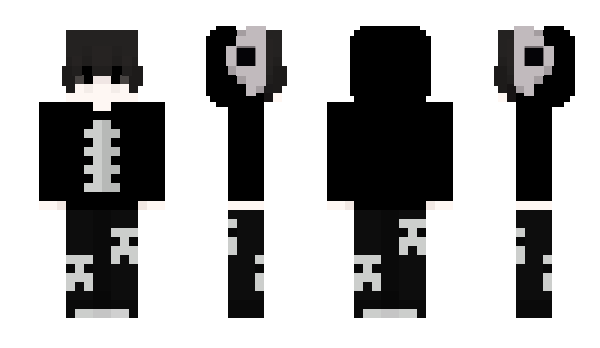 Minecraft skin pradabags