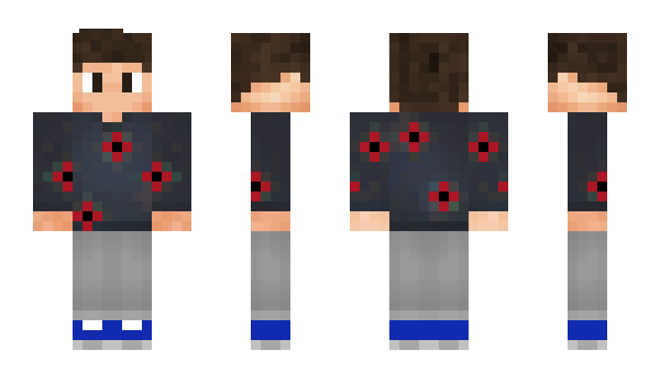 Minecraft skin anmolli