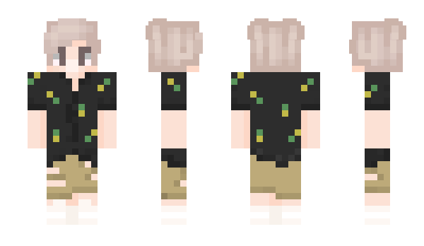 Minecraft skin 96386