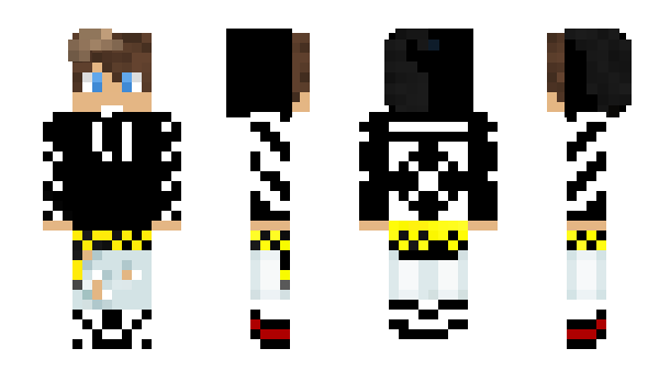 Minecraft skin Pathmc