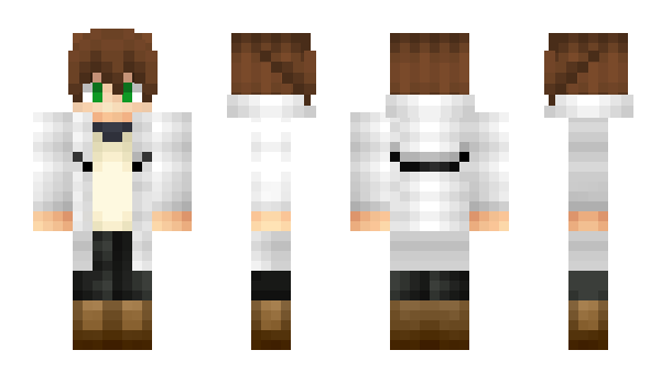 Minecraft skin Lukas491don