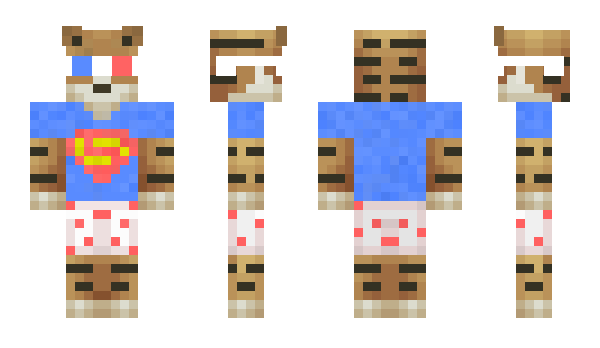 Minecraft skin playerj1i25