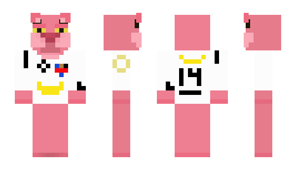 Minecraft skin Dhule