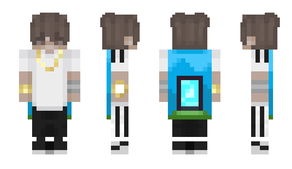 Minecraft skin NyxOG