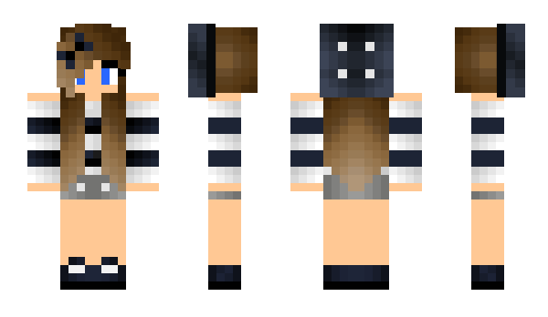 Minecraft skin Mecho