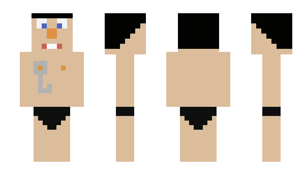 Minecraft skin wIbz