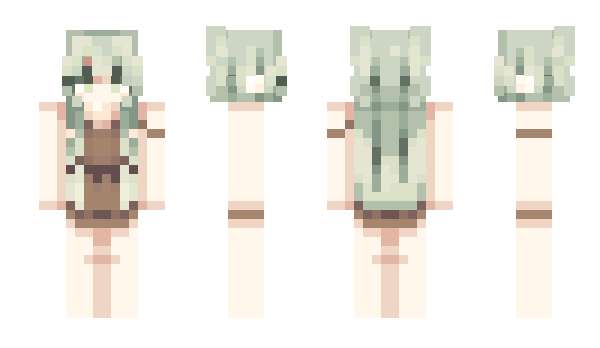 Minecraft skin Zwevi