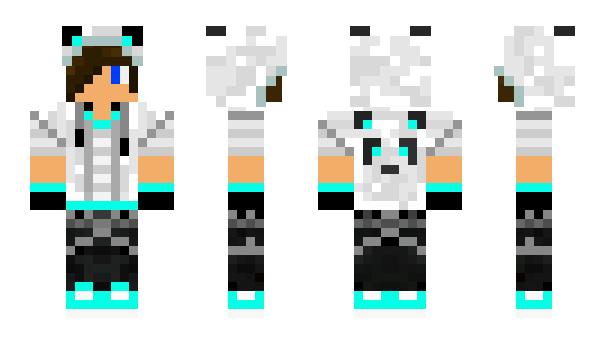 Minecraft skin Eroding