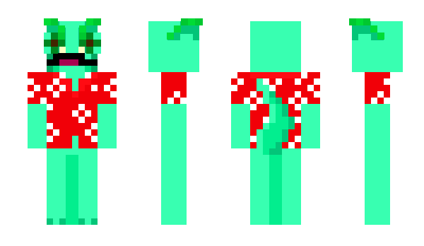 Minecraft skin _rydd