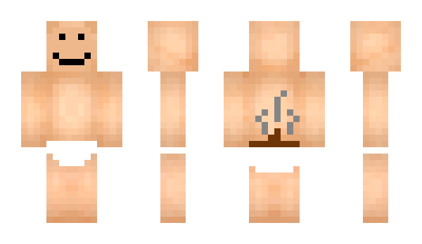 Minecraft skin Excretor