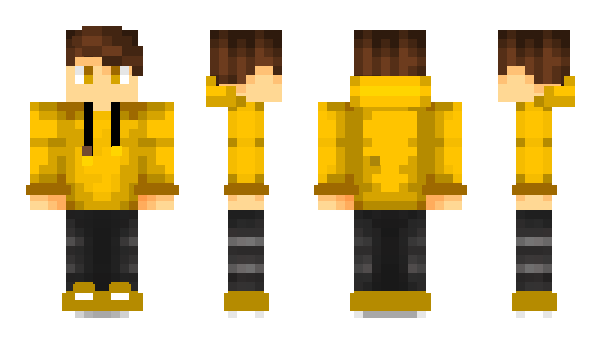 Minecraft skin aNin3