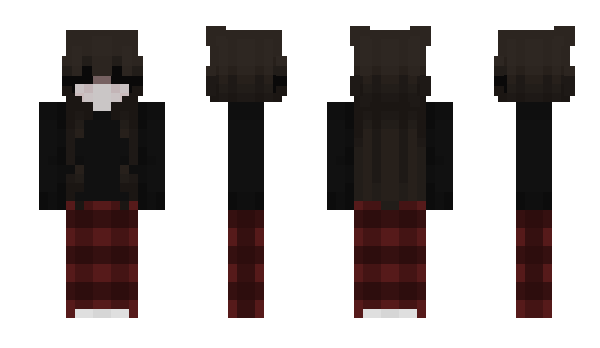 Minecraft skin Paech