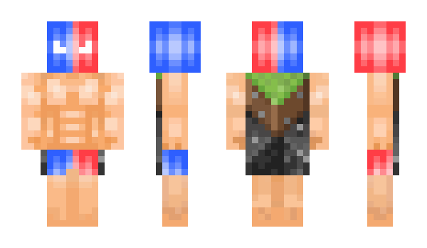 Minecraft скин по нику P4bleau
