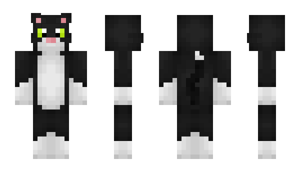 Minecraft skin Viborg