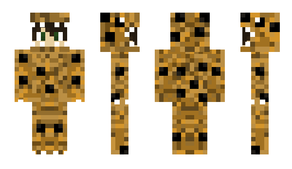 Minecraft skin CookieExtreme