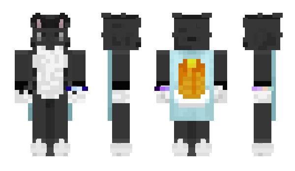 Minecraft skin Flgs