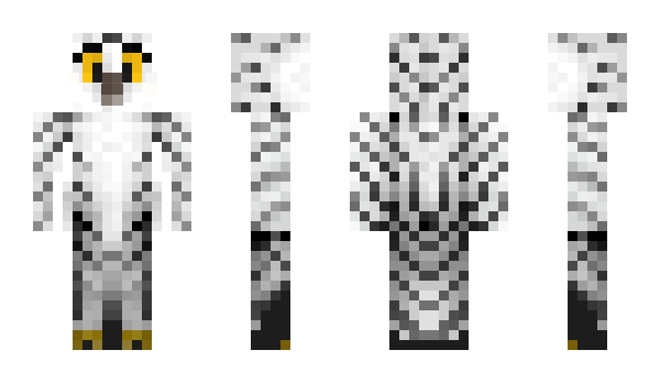 Minecraft skin WeatherForecast