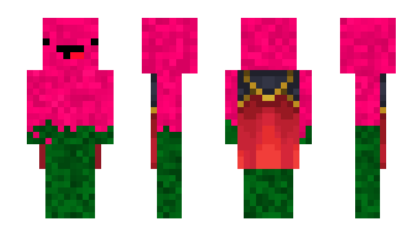 Minecraft skin VEdenPaiStin