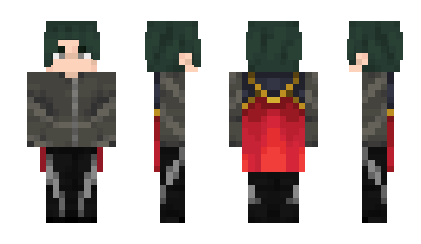 Minecraft skin TAPYM