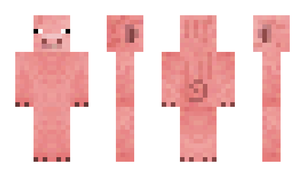 Minecraft skin nonsonogay