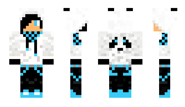 Minecraft skin legitninjazz