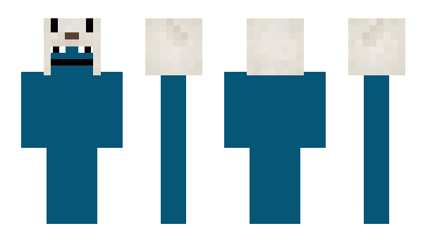 Minecraft skin Y2C
