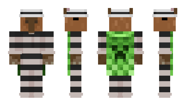 Minecraft skin vinil