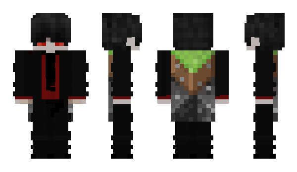 Minecraft skin rxqzui