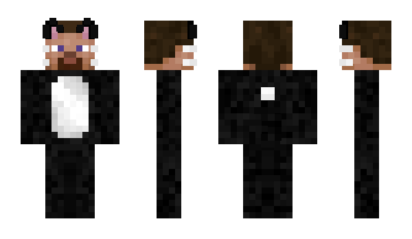 Minecraft skin XanAckerman