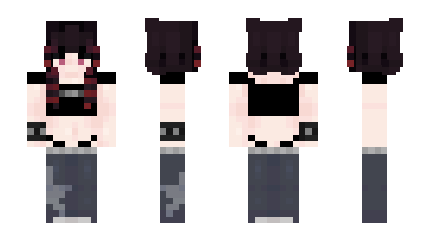 Minecraft skin WanderGuard