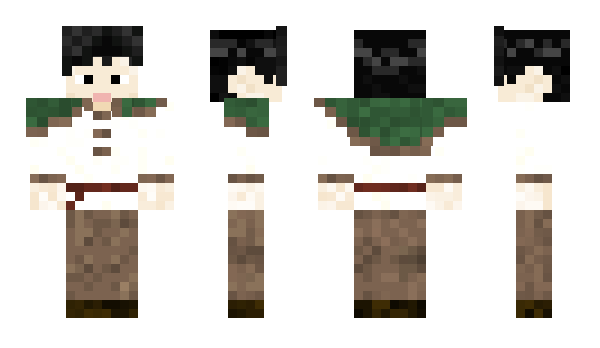 Minecraft skin aerf