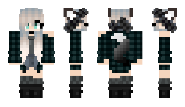 Minecraft skin QSUS