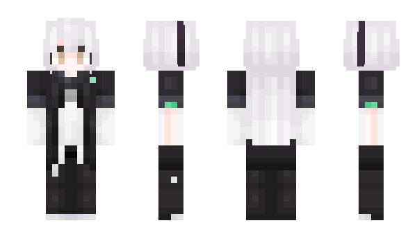 Minecraft skin CAT_V